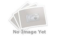 我校组织学生干部开展“清明寄哀思”活动